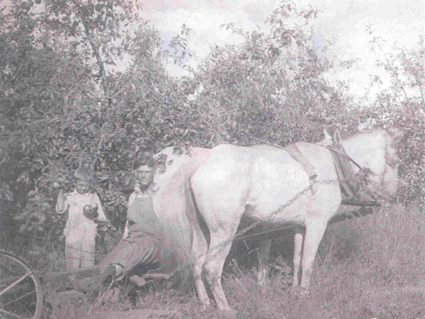 Harold & Leon Copeland plowing the apple orchard